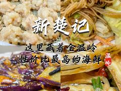 -新楚记
