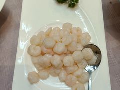 清炒虾仁-西新饭店(城中店)