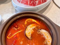 -澳门豆捞(裕华东路店)
