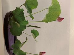 -星鸿社重庆老火锅