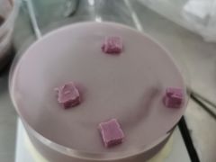芋泥椰椰清爽蛋糕-CAKE BOSS 蛋糕老板(西单君太百货店)