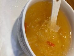 -梵猫·新养生(湛江鼎盛店)