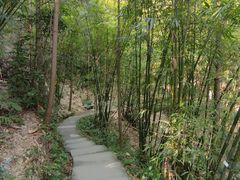 -缙云山景区