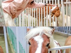 -蓝地时尚庄园(北京清河营地铁站店)