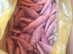 -众彩物流水产市场