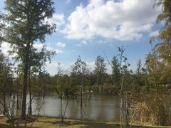 -上海长兴岛郊野公园