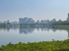 -莲花池公园
