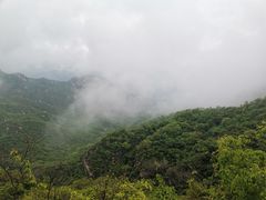 -大岭沟猕猴桃谷风景区