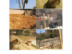 -杭州野生动物世界