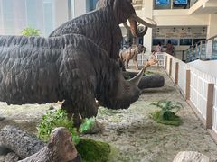 -中国第四纪冰川遗迹陈列馆