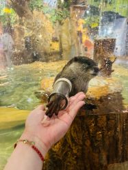 -Zoolung Zoolung动物主题公园(海信广场店)