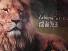-乐刻健身(望京凯德mall馆)