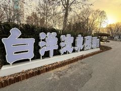 -白洋淀景区