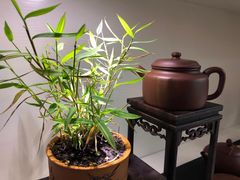 -煮雨小筑(斜塘老街店)