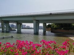 -五缘湾湿地公园