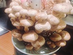 活体菌菇-捞王锅物料理(上海世茂广场店)