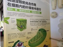 -南京科技馆