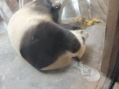 -宁波野生动物园