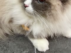 -战斧牛排餐厅(悦方IDMALL店)