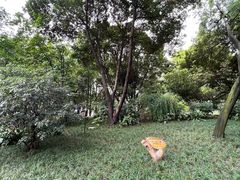 -成都市活水公园