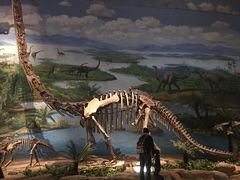 -自贡恐龙博物馆