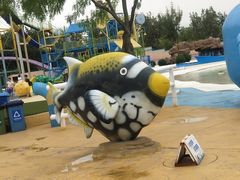 -秦皇岛乐岛海洋王国