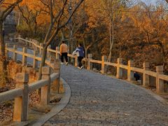 -灵岩山风景区