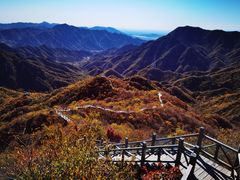 -大岭沟猕猴桃谷风景区