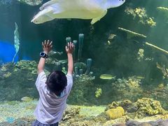 -华夏文旅海洋公园