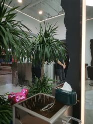 -ON STAR SALON