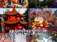 -越秀西湖花市(广州城市广场花卉店)