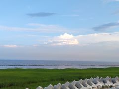 -南汇嘴观海公园