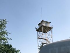 -云岗森林公园