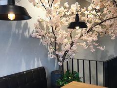 店内布置-花悦豆香