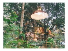 -NLFS1983咖啡花园餐厅(锦桂店)