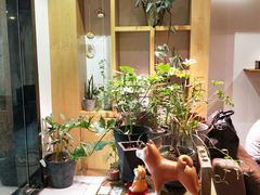 -柴务处·柴犬主题狗咖