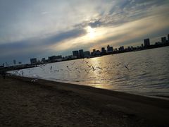 -台场海滨公园船码头