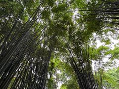 -成都杜甫草堂博物馆