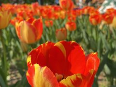 -长春公园(普阳街道)