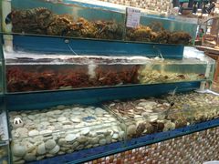 -港畔赶海蒸汽海鲜烧烤自助(仙螺岛店)