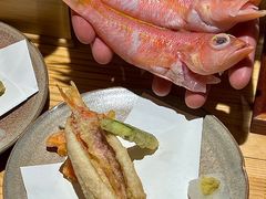 -镹·鱼料理  国产鱼使用店