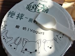 -狐狸家·酸奶酪专门店(平江路店)