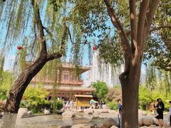 -西安青龙寺遗址景区