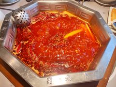 红锅底-蜀九香火锅(九眼桥店)