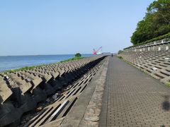 -上海滨江森林公园