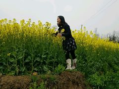 -黑河坝泡姜鸡贡椒鱼(贾旗路店)