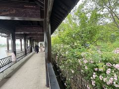 -梁鸿国家湿地公园