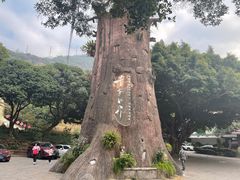 -青青世界