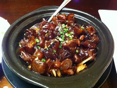 京葱牛筋煲-长兴楼饭店