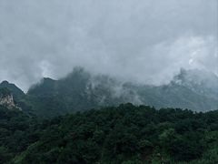 -王莽岭风景区